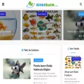 bitkibalik.com bitkibalik.com