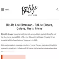bitlifie.com