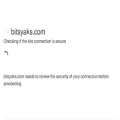 bitsyaks.com