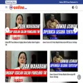 bitvonline.com bitvonline.com