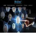 bizdev.global bizdev.global