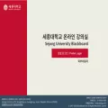 blackboard.sejong.ac.kr blackboard.sejong.ac.kr