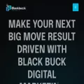blackbuckagency.com