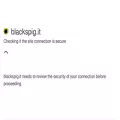 blackspig.it