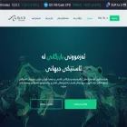 blackstallionfx.com