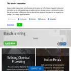 blaschceramics.com