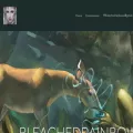 bleachedrainbows.com