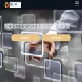 blhweb.top
