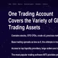 blmforex.com