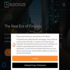 blocksize-capital.com blocksize-capital.com