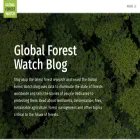 blog.globalforestwatch.org
