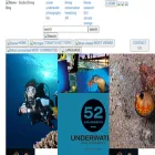 blog.mares.com blog.mares.com