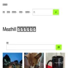 blog.meathill.com blog.meathill.com
