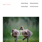 bloganimal.fr bloganimal.fr