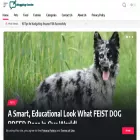bloggingcastle.com