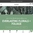 bloomingful.com bloomingful.com