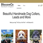blossomco.com blossomco.com