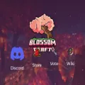 blossomcraft.org blossomcraft.org