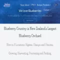blueberry.co.nz blueberry.co.nz
