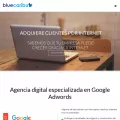 bluecaribu.com bluecaribu.com