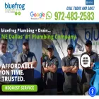 bluefrogplumbingnedallas.com