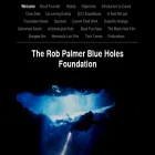 blueholes.org blueholes.org