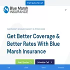 bluemarsh.com