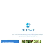 bluepeacemaldives.org bluepeacemaldives.org