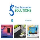 bluesalamandersolutions.com bluesalamandersolutions.com