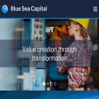 blueseacapital.com