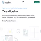 blueshoe.io blueshoe.io