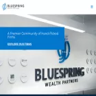bluespringwealth.com bluespringwealth.com