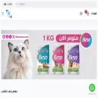 bluestarsaudi.com bluestarsaudi.com