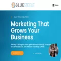 bluesteelesolutions.com