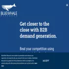 bluewhaleresearch.com