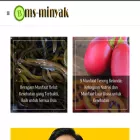 bms-minyak.com