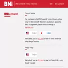 bnitos.com bnitos.com