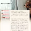 bntalex.com bntalex.com