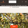 bobtailfruit.co.uk