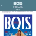 boisnewsmedia.com