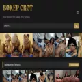 bokepcrot.org