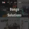 bongo-solutions.com