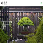 bonsaiempire.jp bonsaiempire.jp