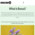 bonsaimary.com