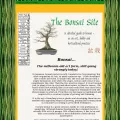 bonsaisite.com bonsaisite.com