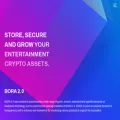 borachain.io borachain.io