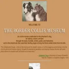 bordercolliemuseum.org