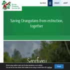 borneoorangutansurvival.org