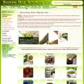 bouncingbearbotanicals.com bouncingbearbotanicals.com