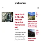 bradycarlson.com bradycarlson.com